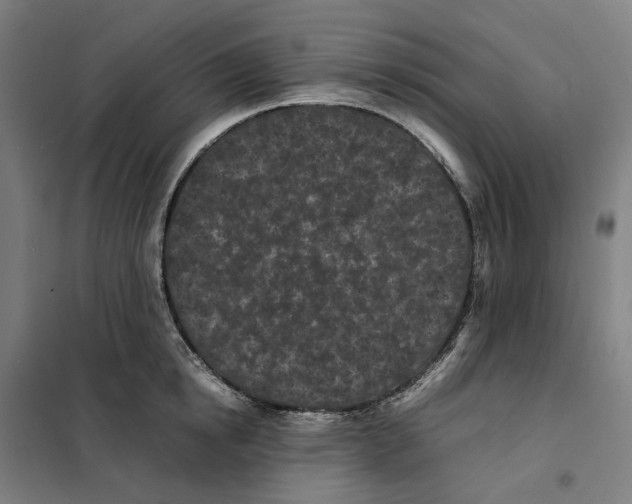 X0000101220854200807251110