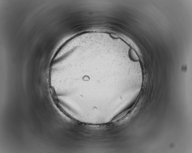 X0000101220855200807251110