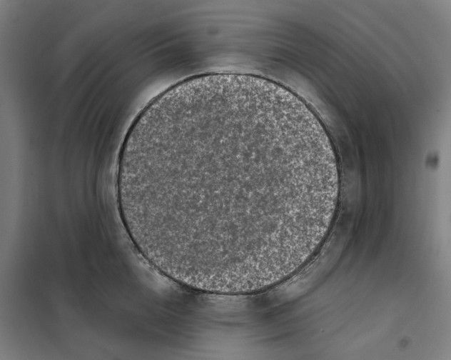 X0000101220856200807251110