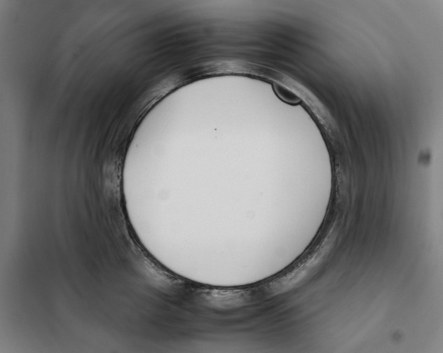 X0000101220857200807251110
