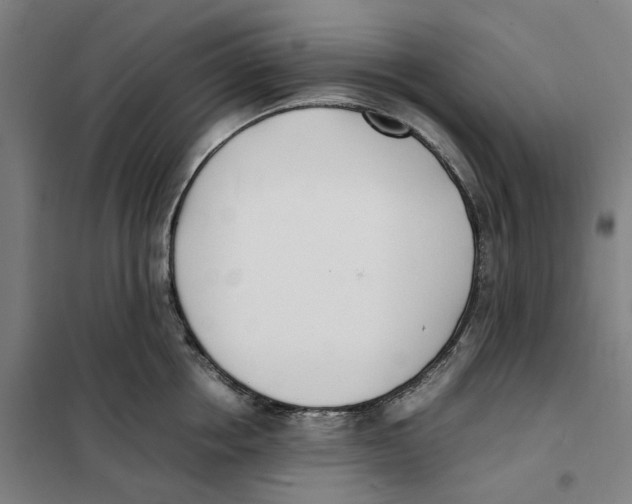 X0000101220858200807251110
