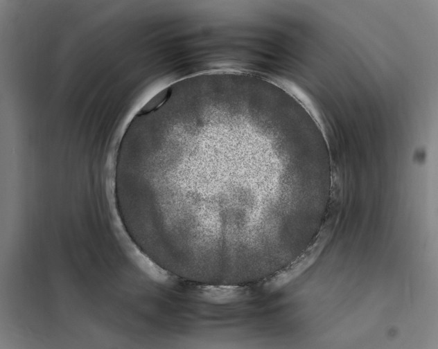 X0000101220859200807251110