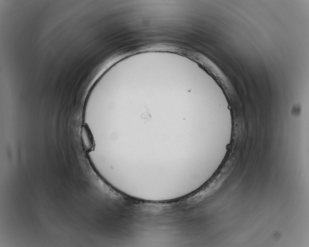 X0000101220860200807251110