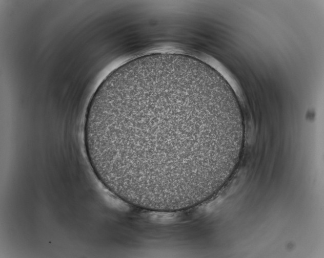 X0000101220861200807251110