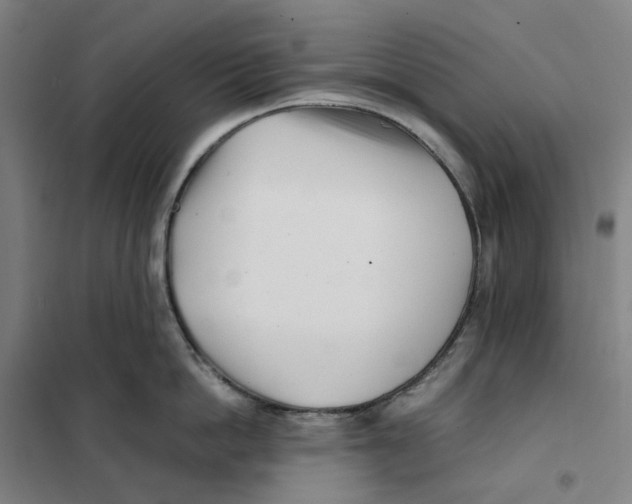 X0000101220862200807251110