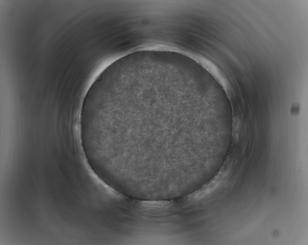 X0000101220863200807251110