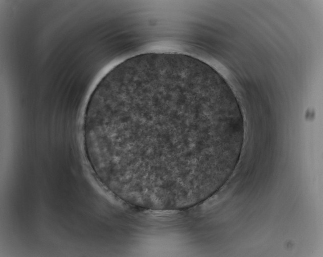 X0000101220864200807251110