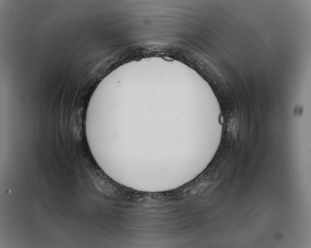 X0000101220868200807251109