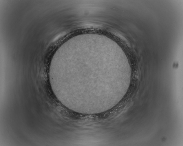 X0000101220869200807251109