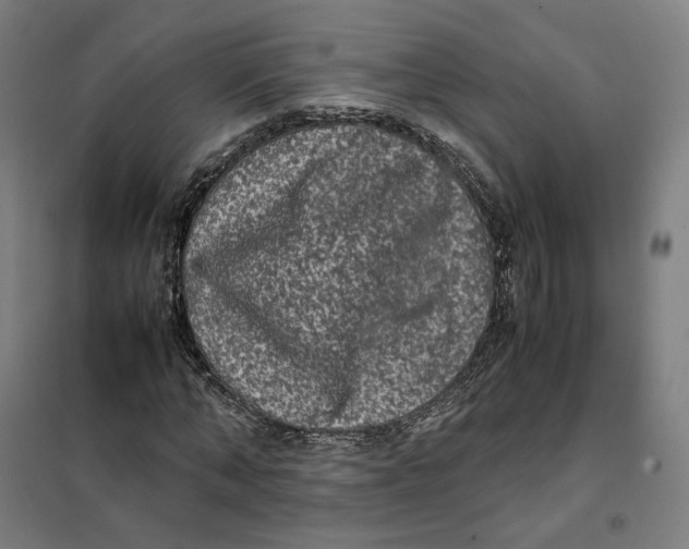 X0000101220870200807251109