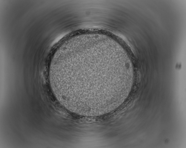 X0000101220871200807251109