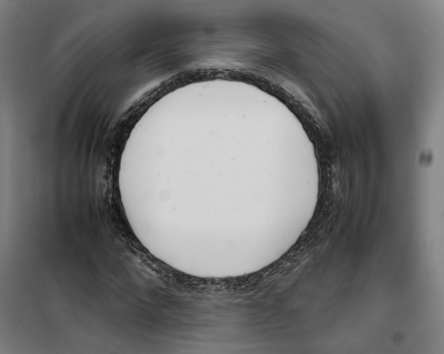 X0000101220872200807251109