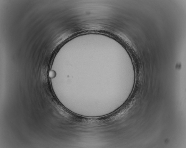 X0000101220873200807251109