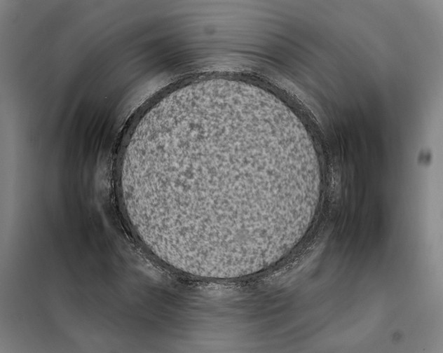 X0000101220874200807251109