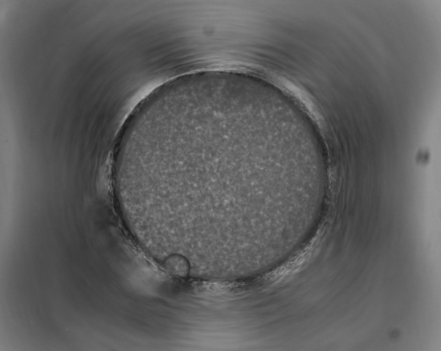 X0000101220875200807251109