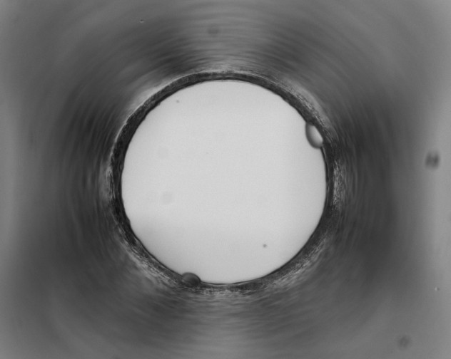 X0000101220876200807251109