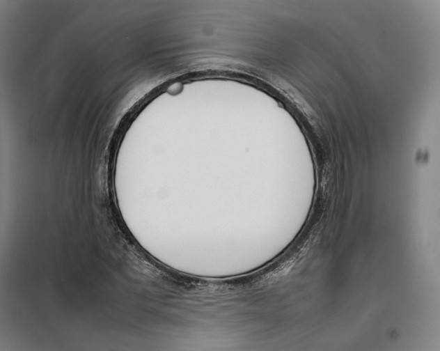 X0000101220877200807251109