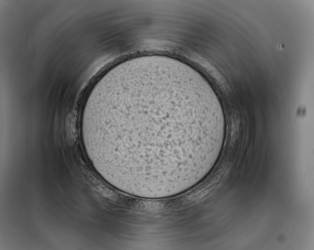 X0000101220878200807251109