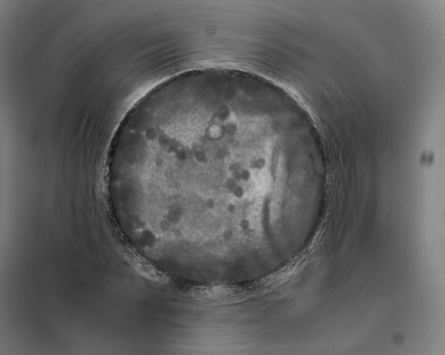 X0000101220879200807251109