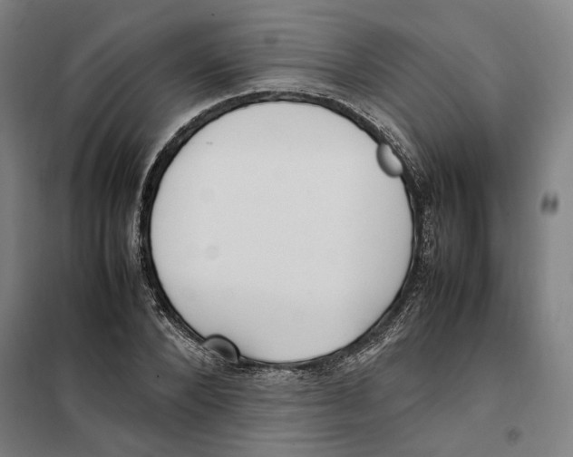 X0000101220880200807251109