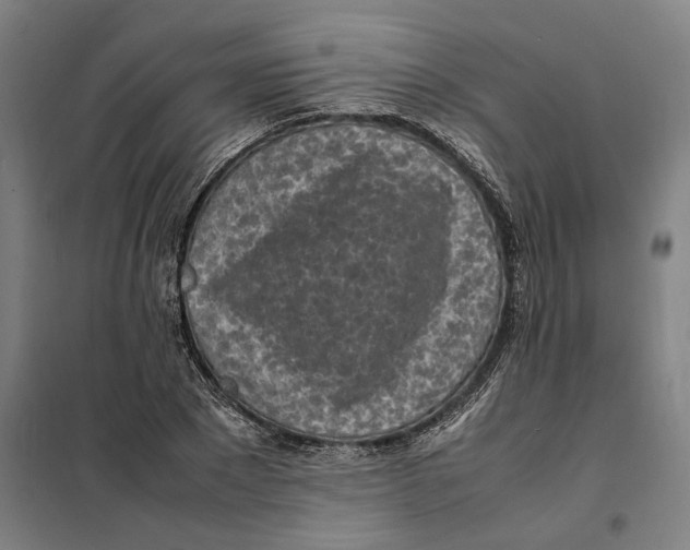X0000101220881200807251109