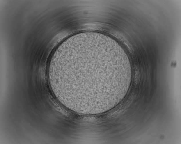 X0000101220882200807251109