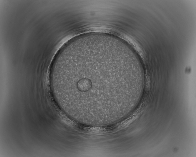 X0000101220883200807251109