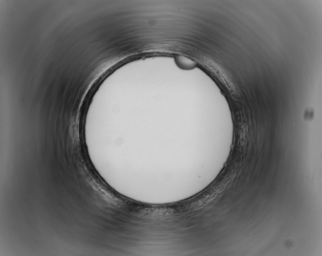 X0000101220884200807251109