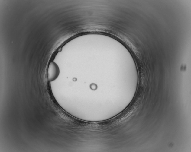 X0000101220885200807251109