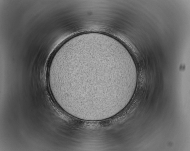 X0000101220886200807251109
