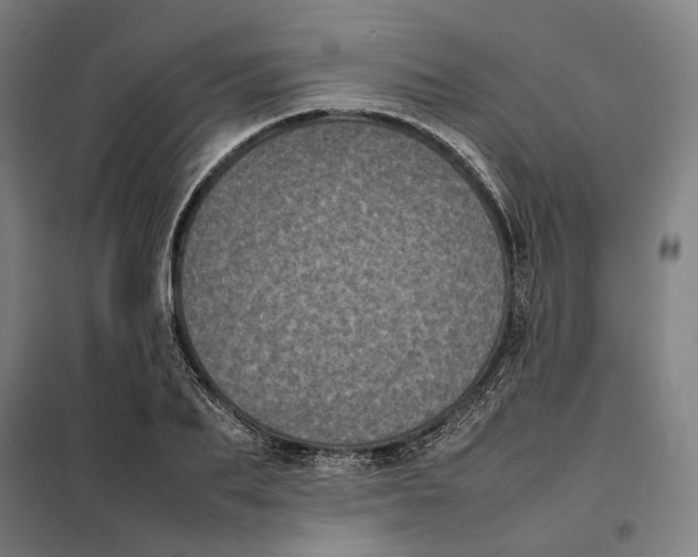 X0000101220887200807251109
