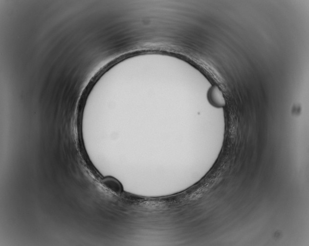 X0000101220888200807251109