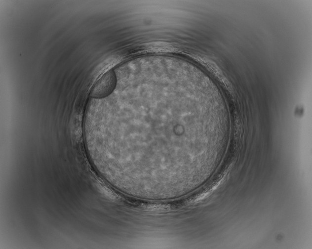 X0000101220889200807251109