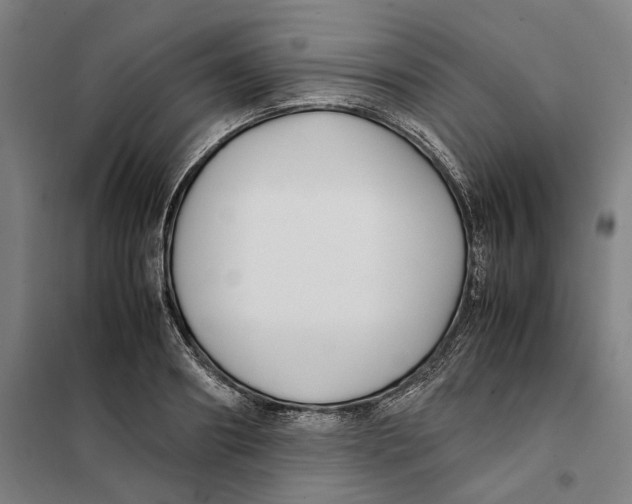 X0000101220890200807251109