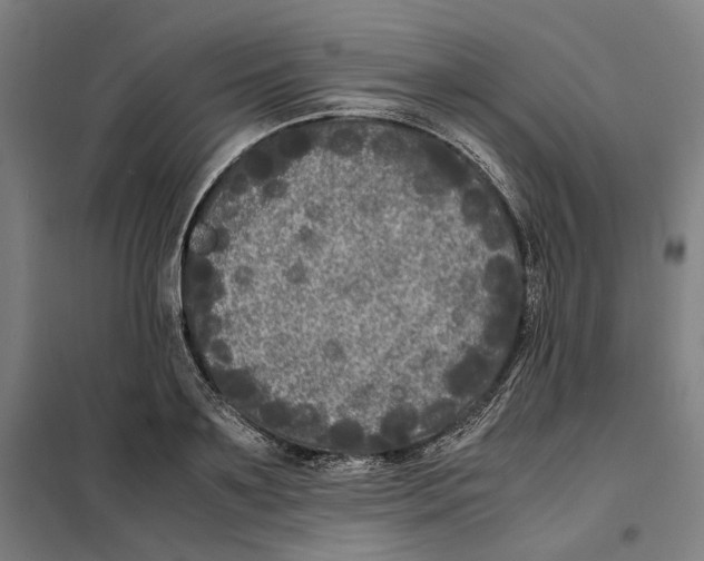 X0000101220891200807251109