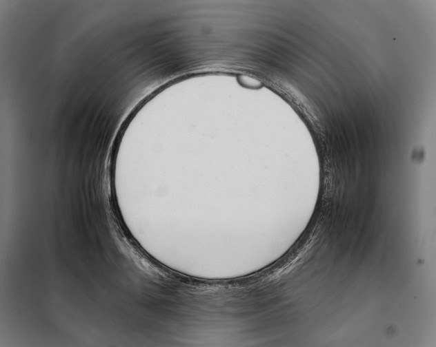X0000101220892200807251109