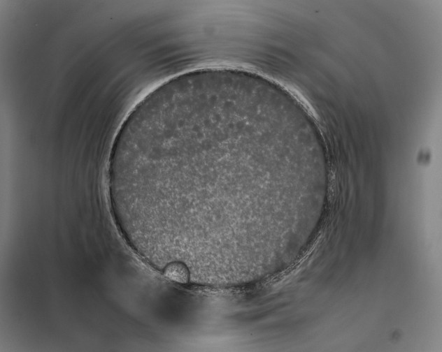 X0000101220895200807251109