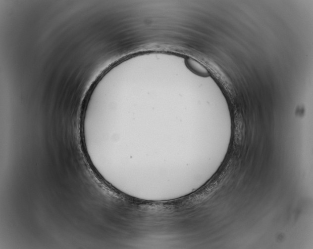 X0000101220896200807251109