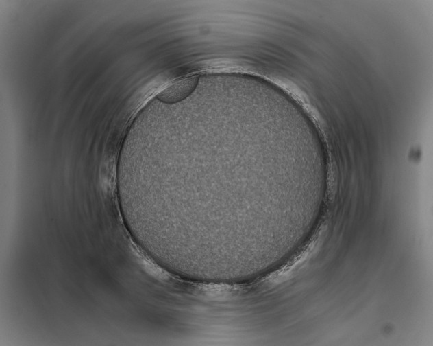 X0000101220897200807251109