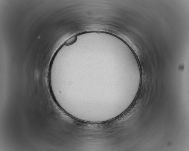 X0000101220901200807251109