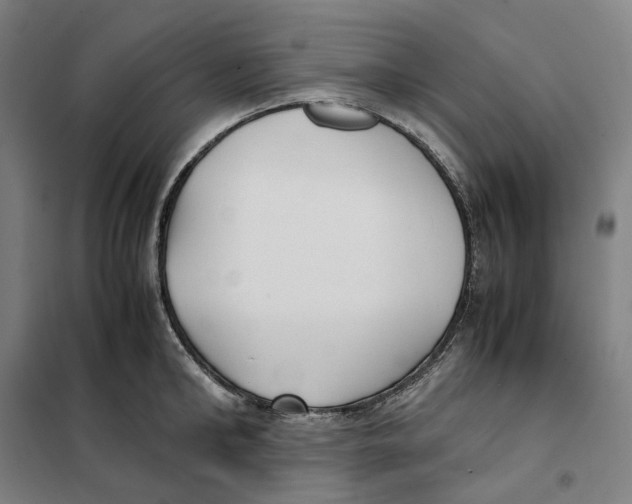 X0000101220902200807251109