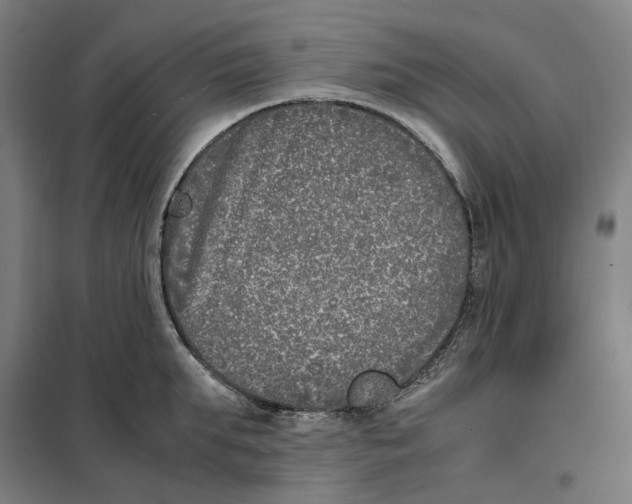 X0000101220903200807251109