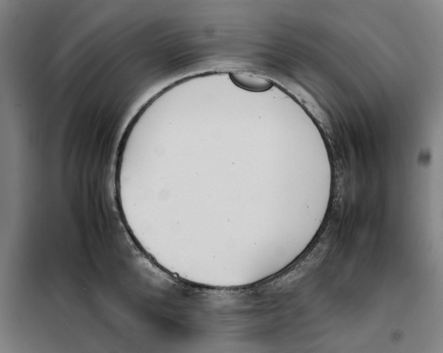 X0000101220904200807251109