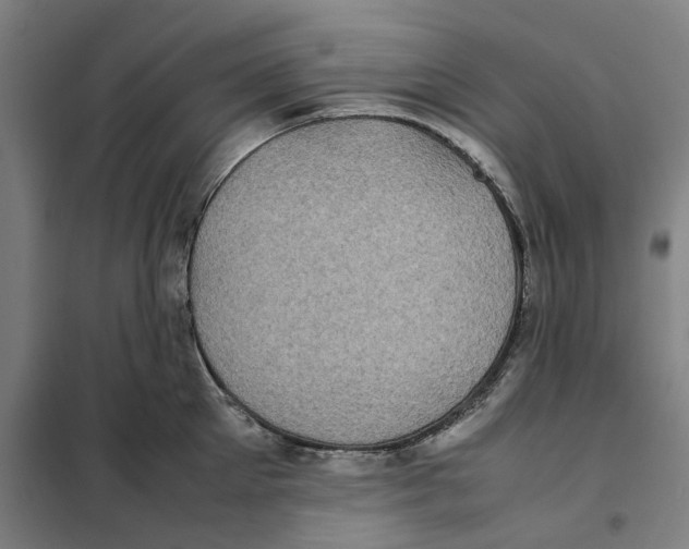X0000101220905200807251109