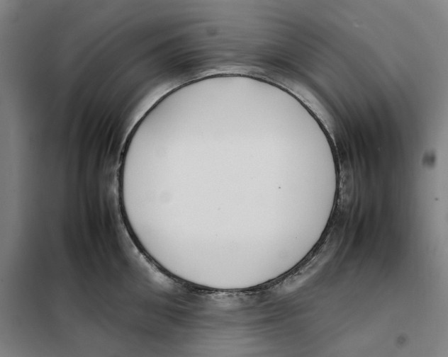 X0000101220906200807251109