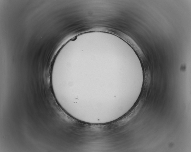 X0000101220908200807251109