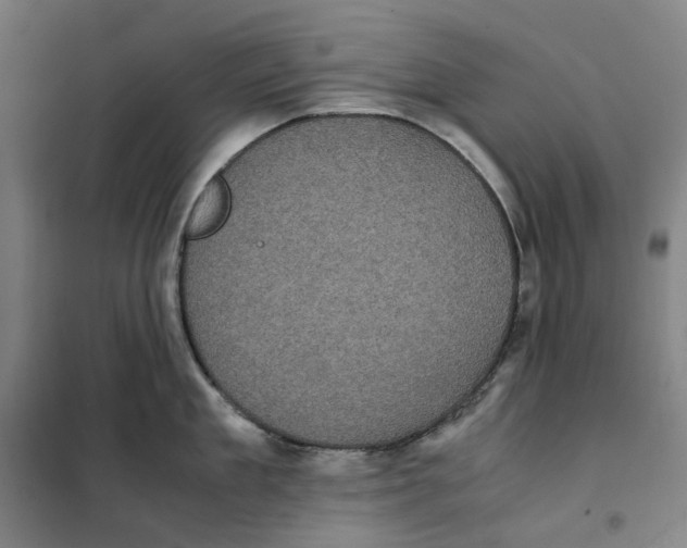 X0000101220909200807251109