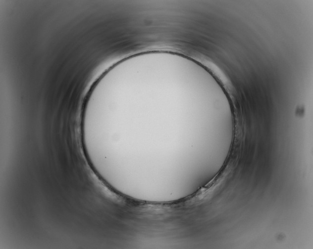 X0000101220910200807251109