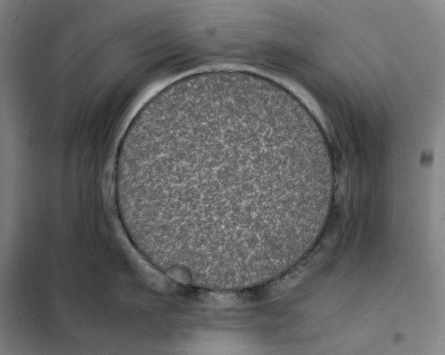 X0000101220911200807251108