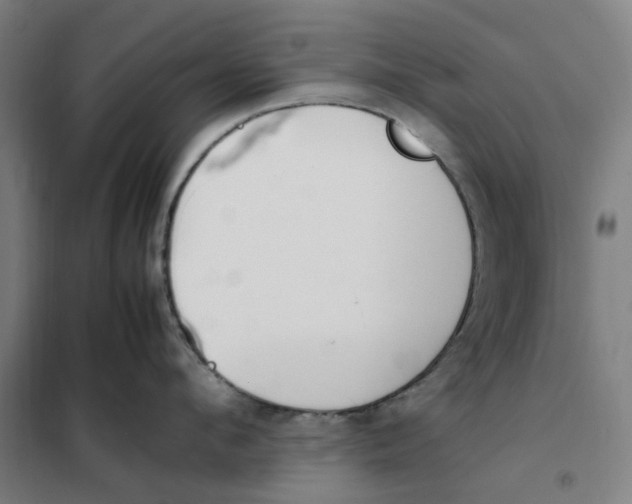 X0000101220912200807251108